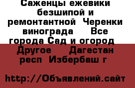 Саженцы ежевики безшипой и ремонтантной. Черенки винограда . - Все города Сад и огород » Другое   . Дагестан респ.,Избербаш г.